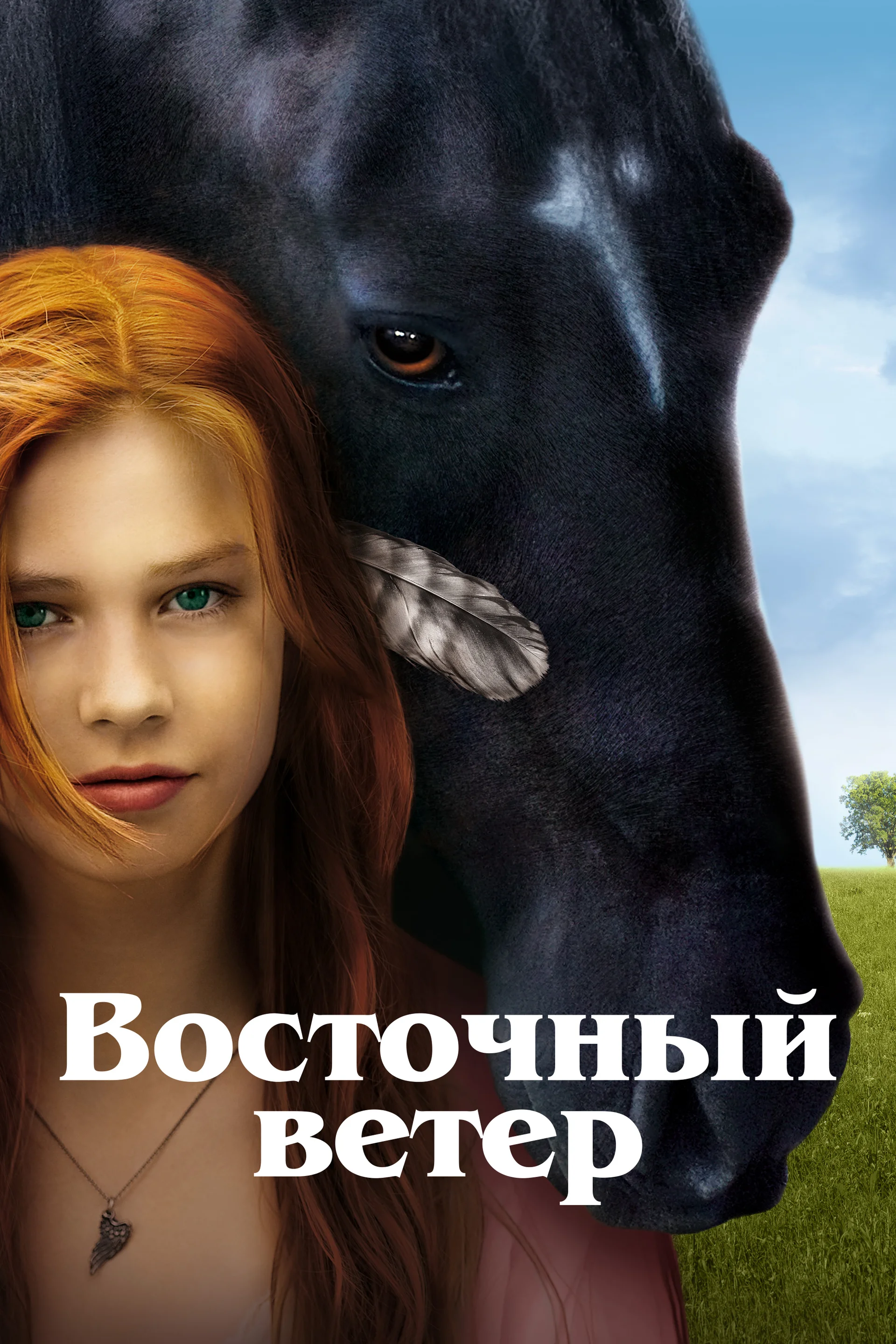 Смотреть Восточный ветер / Ostwind (2013) онлайн